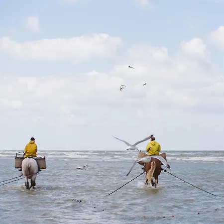 In Near Sandy Beaches, Cleaning Included Сasa de vacaciones *